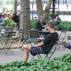 Image for article titled Free Wi-Fi In NY for All Road Runner Users
